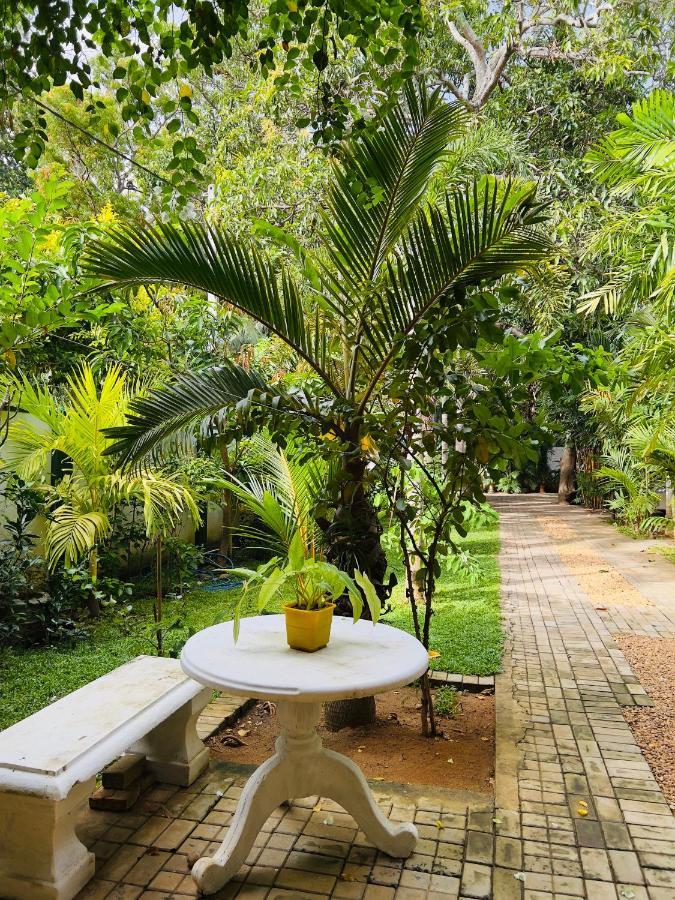 Yala Southern Homestay Тіссамахарама Екстер'єр фото