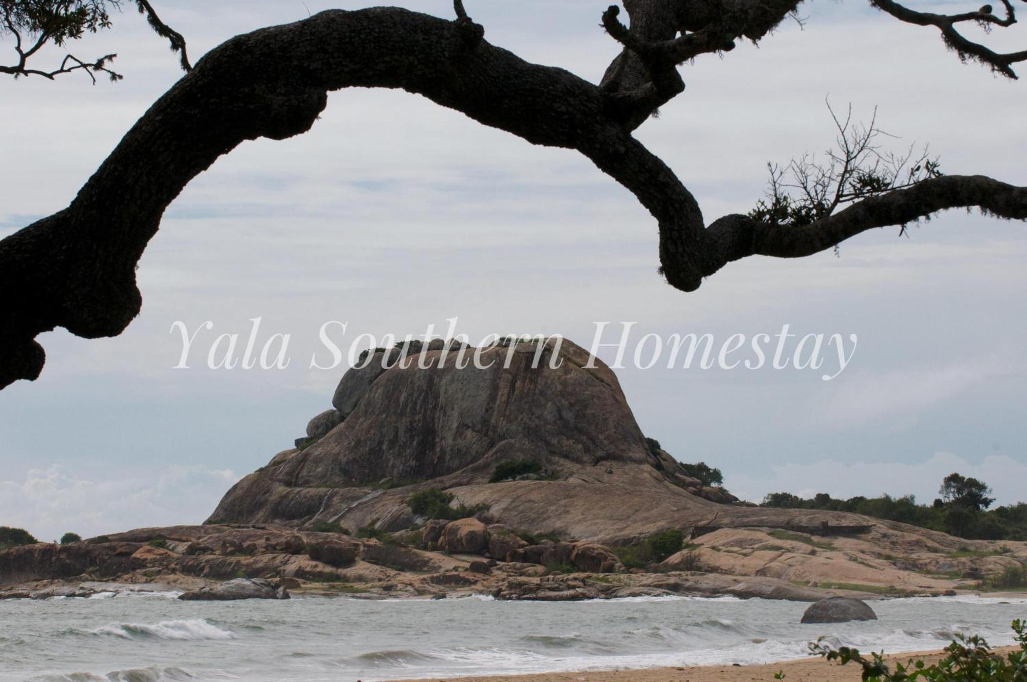 Yala Southern Homestay Тіссамахарама Екстер'єр фото