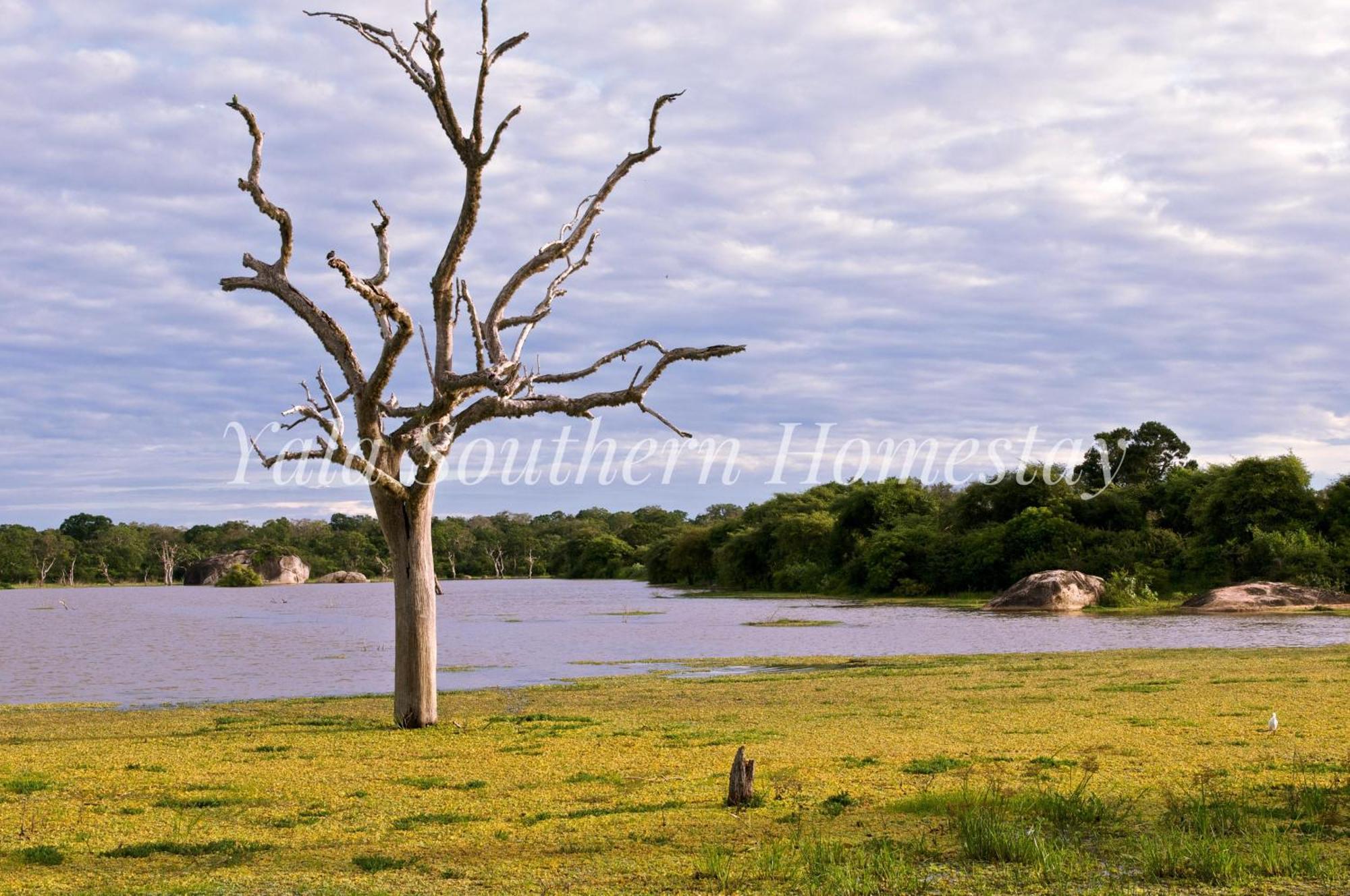 Yala Southern Homestay Тіссамахарама Екстер'єр фото