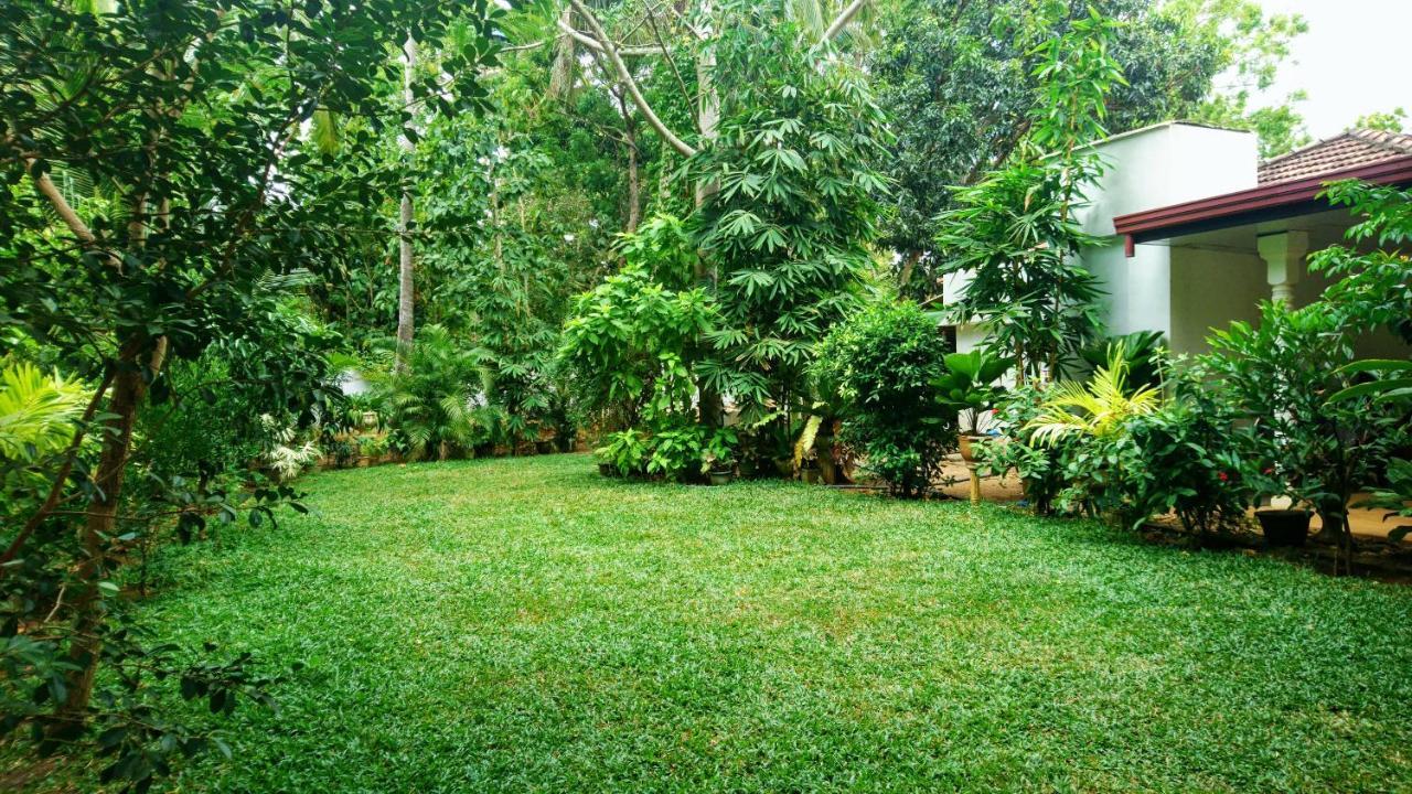 Yala Southern Homestay Тіссамахарама Екстер'єр фото