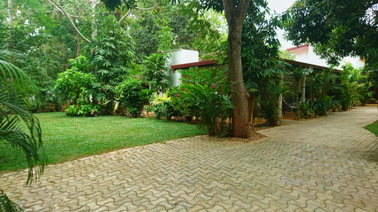 Yala Southern Homestay Тіссамахарама Екстер'єр фото