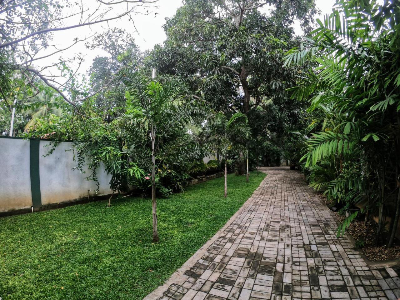 Yala Southern Homestay Тіссамахарама Екстер'єр фото
