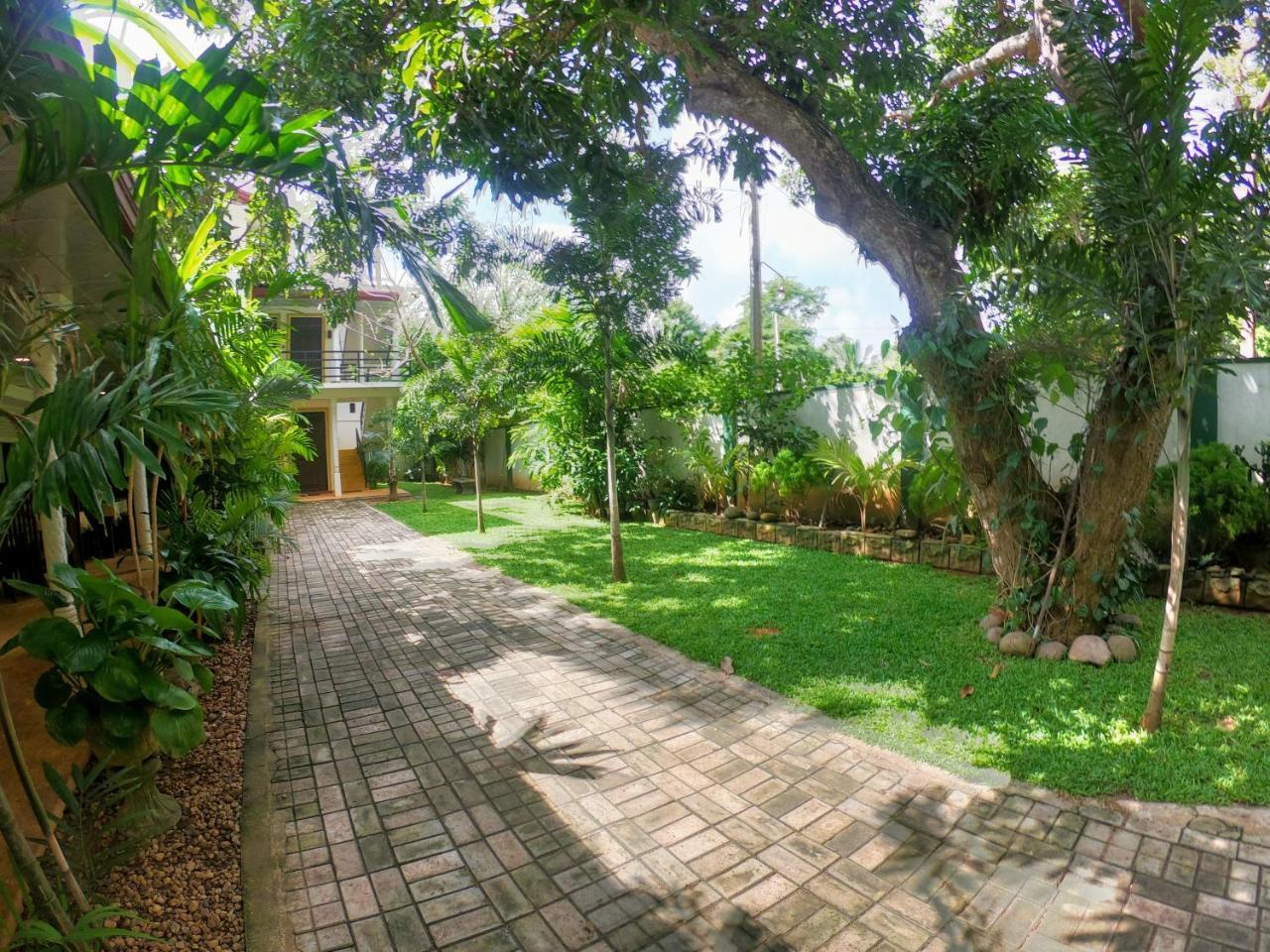 Yala Southern Homestay Тіссамахарама Екстер'єр фото